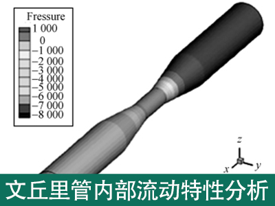 文丘里管内部流动特征先容剖析